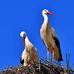 Dusan Kapris - Facebook