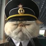 P Graham - @captain_graham - Instagram