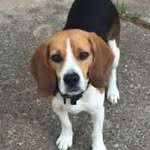 Captain Lee - @cappy_lee - Instagram