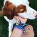 Cara Abernathy - Facebook