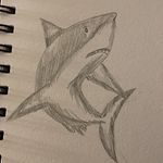 Cara Bishop - @carabrowork - Instagram