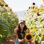cara burcham - @caraburcham - Instagram
