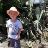 Caracola Carrillo - @caracolacarrillo - TikTok