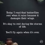 Cara Collins - @cara160977 - Instagram