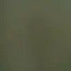 CáraC - @caracollins12345 - TikTok