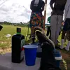 Cornelius Scara - @cornelius.scara - TikTok