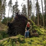 Cara Flowers - @cara_flowers_art - Instagram