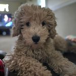 Cara Glaser - @camk78 - Instagram