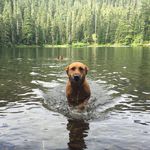 Cara Griffin - @caraleegriffin - Instagram