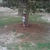 cara_helms - @cara_helms - TikTok