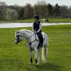 Cara Henderson - @carebearra - TikTok