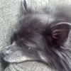 carahenderson33 - @carahenderson33 - TikTok