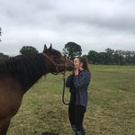 Cara+Henry - @horselove_henry_ - Instagram