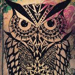 Cara Hetrick - @queen_diva_606 - Instagram