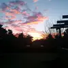 Cara Hicks - @cara_hicks_ - TikTok