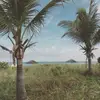Hicksy - @cara.hicks - TikTok