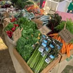 Caraholly Orchard - @carahollyorchard - Instagram