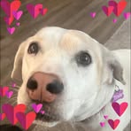 Kara Hoekstra - Facebook