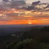 C a r a - @.cara.allshouse - TikTok