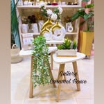 Gallery Caramel House - @gallery_caramel_house - Instagram