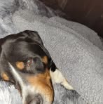 Cara Jo - Facebook