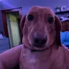 Cara Lacy - @cara.lacy - TikTok