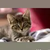 Cara Matthams - @cara.matthams - TikTok