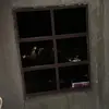 maynard - @maynard.carawan - TikTok