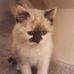 Cara Mays - Facebook