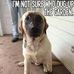 Cara Mcclellan - Facebook