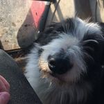 Cara Mclean - @cara_mclean1234567890 - Instagram