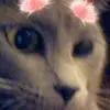 carameeks - @carameeks - TikTok
