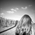 Cara Nolan - Facebook