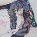 Cara-lynn Pennington - @caralynnpennington - Instagram