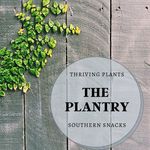 Cara Pennington - @theplantryshop - Instagram