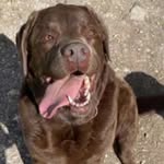 Cara🐾 - @cara_.phillips - Instagram