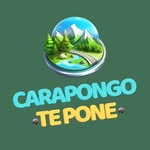 𝘾𝘼𝙍𝘼𝙋𝙊𝙉𝙂𝙊 𝙏𝙀 𝙋𝙊𝙉𝙀 - @carapongotepone - Instagram