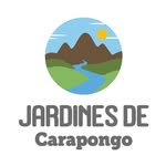 Jardines De Carapongo - @jardines.decarapongo - Instagram