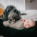 Cara Powers - @leonardandsi - Instagram
