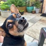 Cara Quick - @quick_cara - Instagram