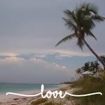 Cara Rapp - @cc5659 - Instagram