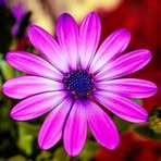 Cara Rau - Facebook