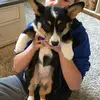 Cara Rayburn865 - @dreys_dogsforlife13 - TikTok