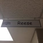 Cara Reese - @reesescience - Instagram