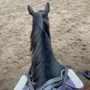 Cara - @cara_reeves - TikTok