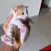 Caramel كراميل - @caramel4weeks - TikTok