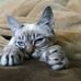 Cardell Cheeks - Facebook