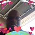 Cardell Cheeks - Facebook