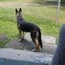 Cardell Mitchell - Facebook