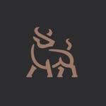 Studio Tarw - Bootcamp, Spin, Pilates & Yoga | Cardiff - @studiotarw - Instagram